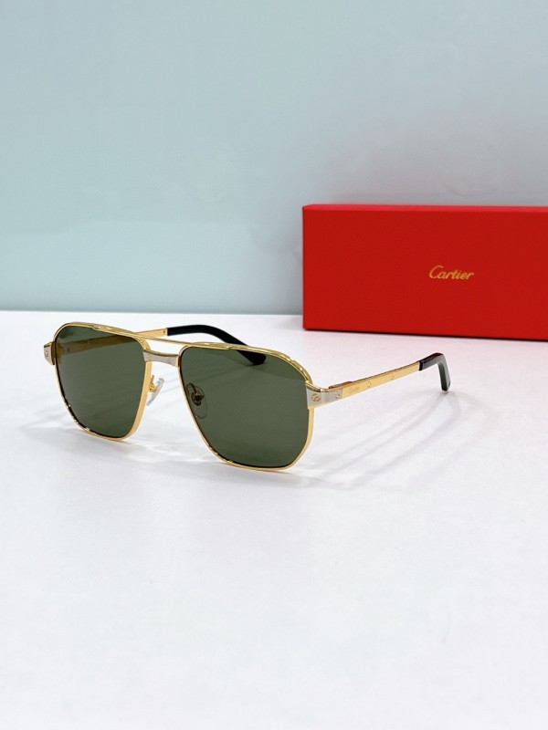Cartier Glasses 08smh85 (2)