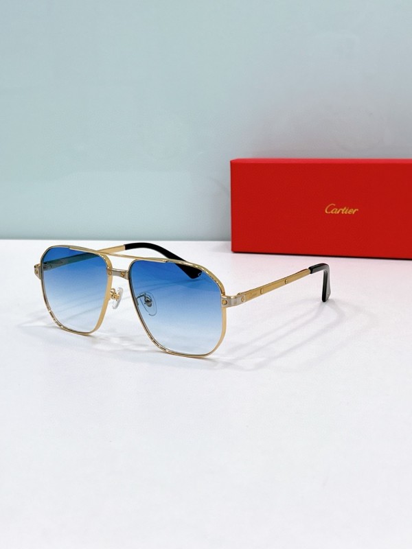 Cartier Glasses 08smh85 (7)