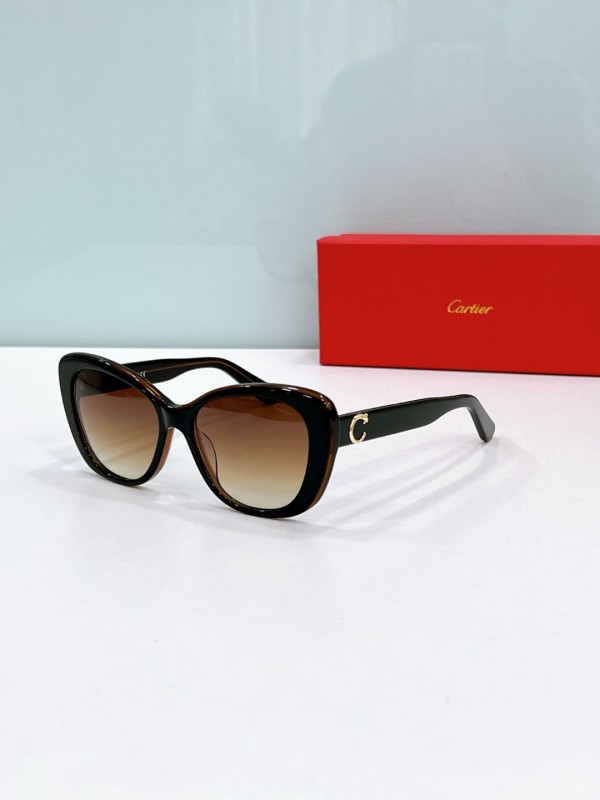 Cartier Glasses 08smh87 (6)