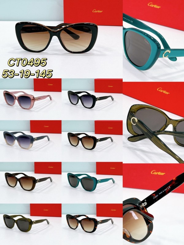 Cartier Glasses 08smh87 (9)