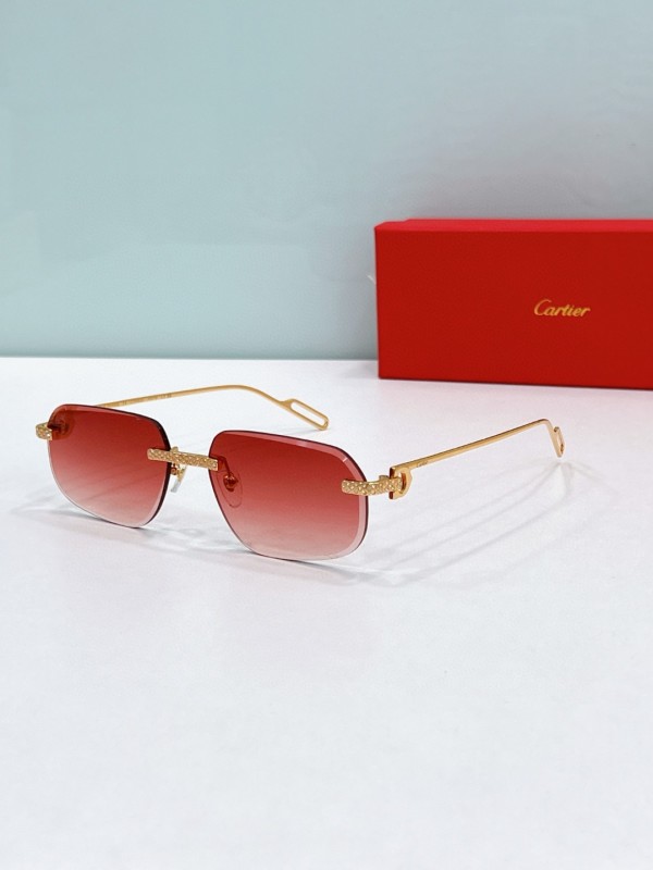 Cartier Glasses 08smh89 (1)