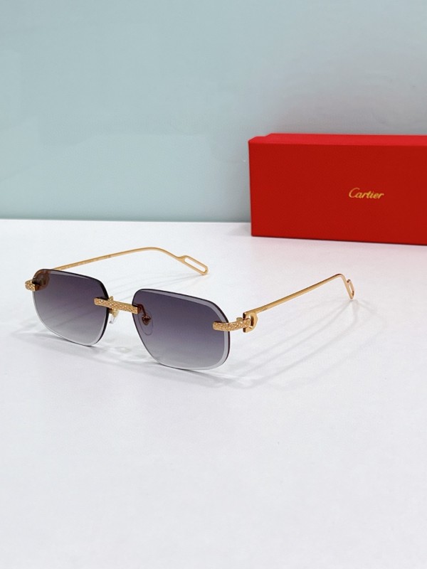 Cartier Glasses 08smh89 (3)