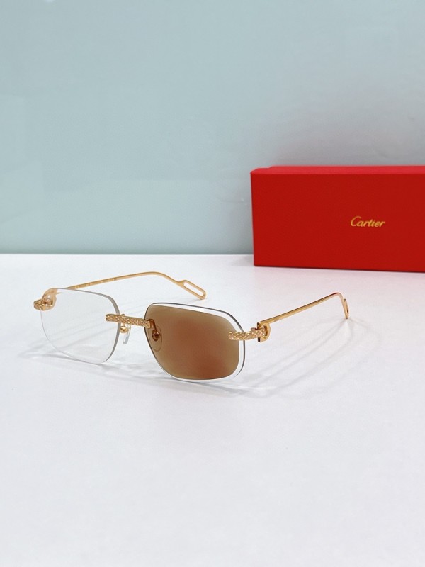 Cartier Glasses 08smh89 (7)