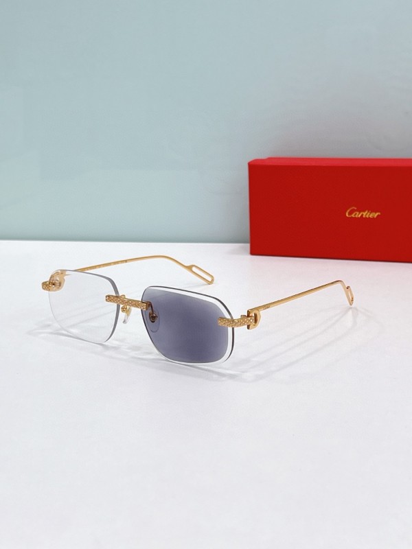 Cartier Glasses 08smh89 (8)