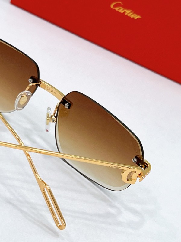 Cartier Glasses 08smh89 (9)