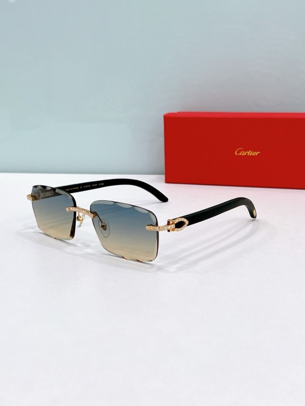 Cartier Glasses 08smh90 (1)