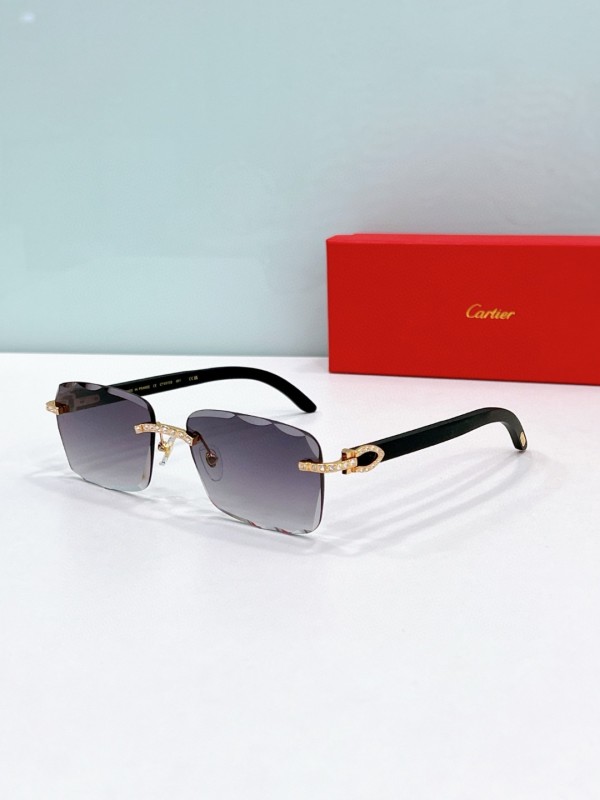 Cartier Glasses 08smh90 (4)
