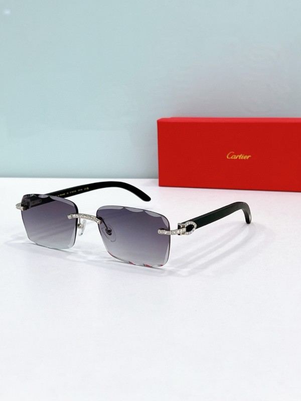Cartier Glasses 08smh90 (5)