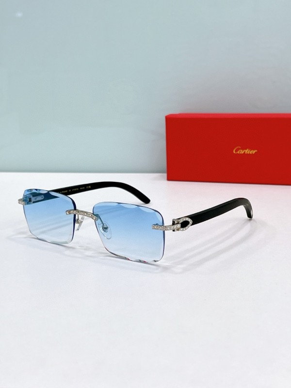 Cartier Glasses 08smh90 (6)