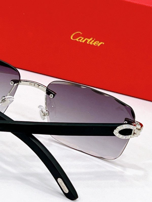 Cartier Glasses 08smh90 (9)