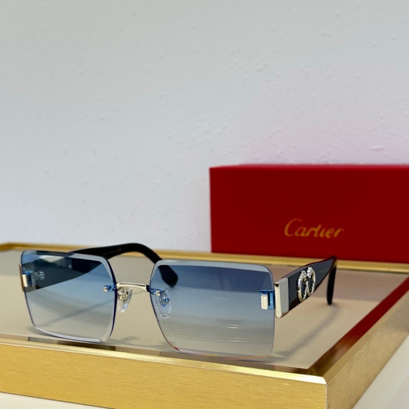 Cartier Glasses 08smh91 (2)