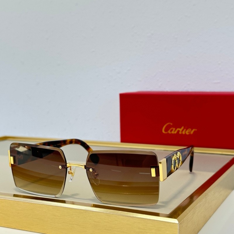 Cartier Glasses 08smh91 (3)