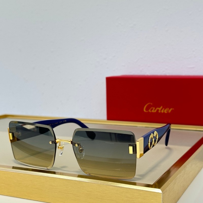 Cartier Glasses 08smh91 (4)