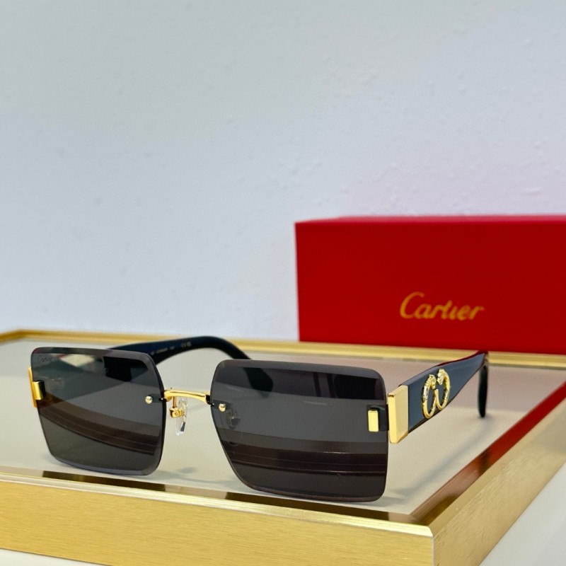 Cartier Glasses 08smh91 (6)