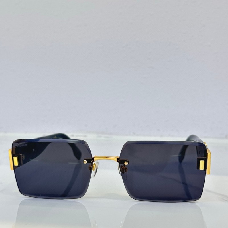 Cartier Glasses 08smh91 (7)