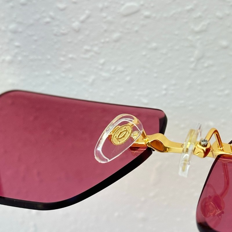 Cartier Glasses 08smh91 (9)