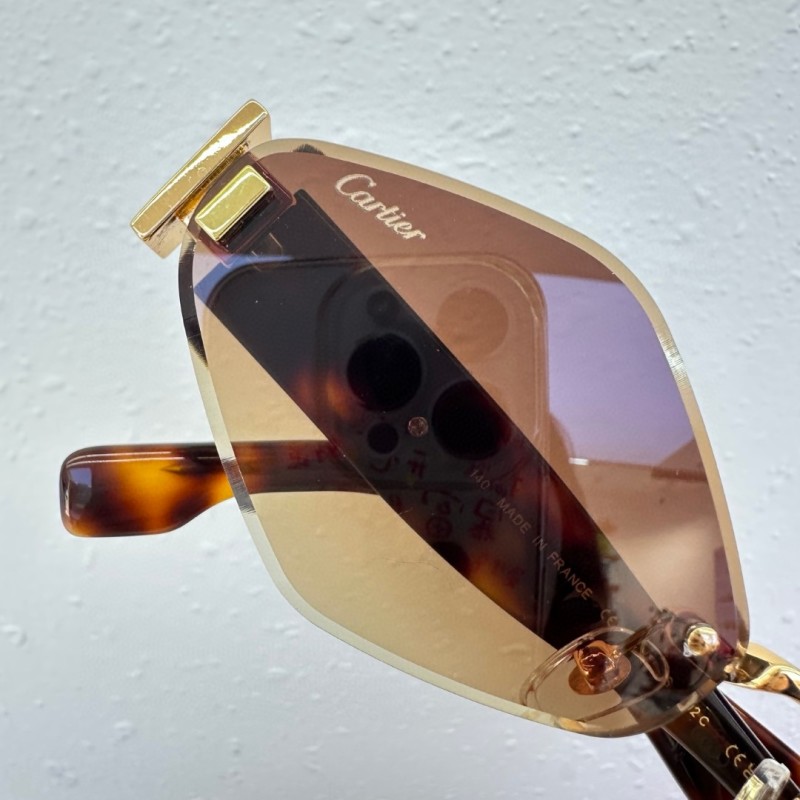 Cartier Glasses 08smh92 (8)