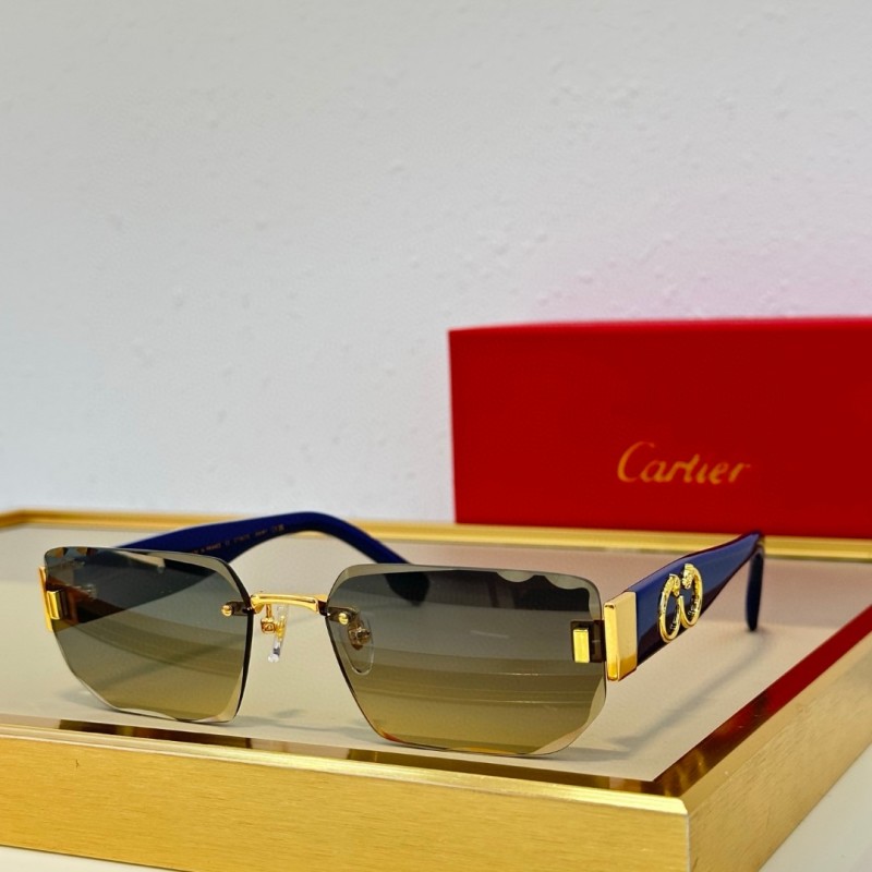 Cartier Glasses 08smh93 (1)
