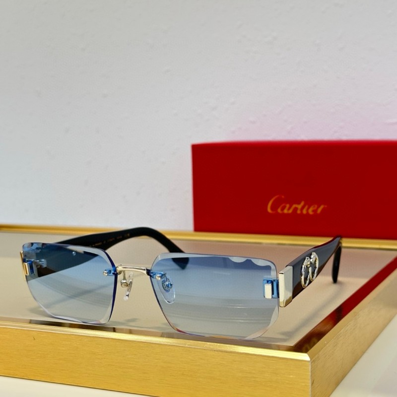 Cartier Glasses 08smh93 (2)