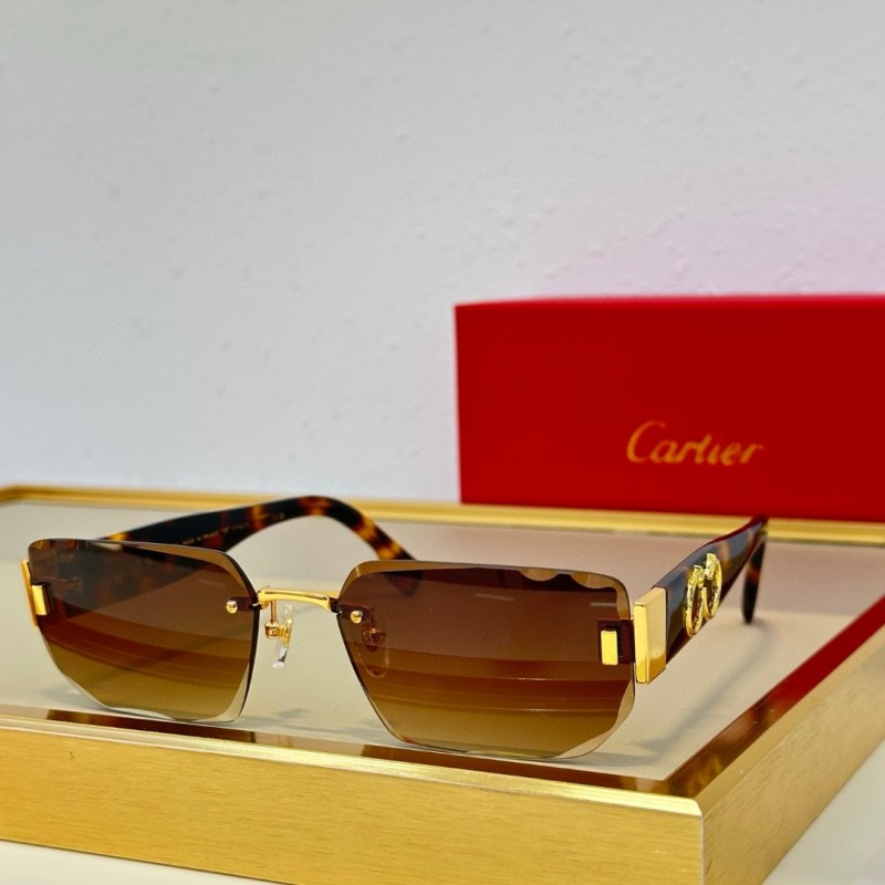 Cartier Glasses 08smh93 (3)