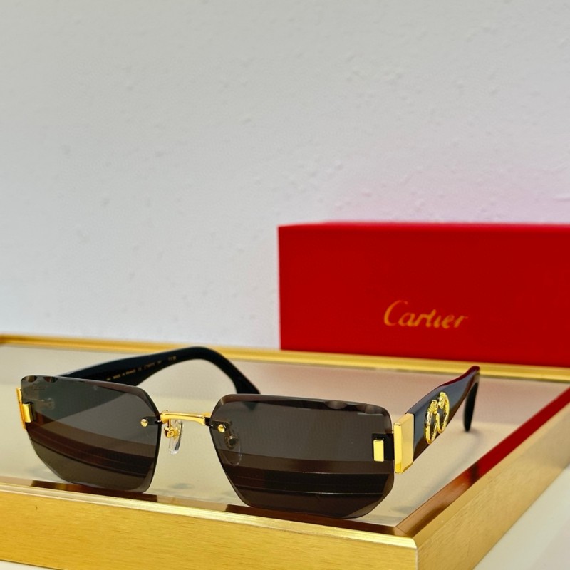 Cartier Glasses 08smh93 (4)