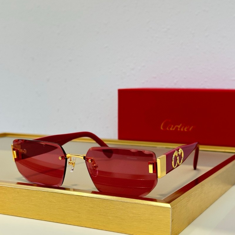 Cartier Glasses 08smh93 (5)