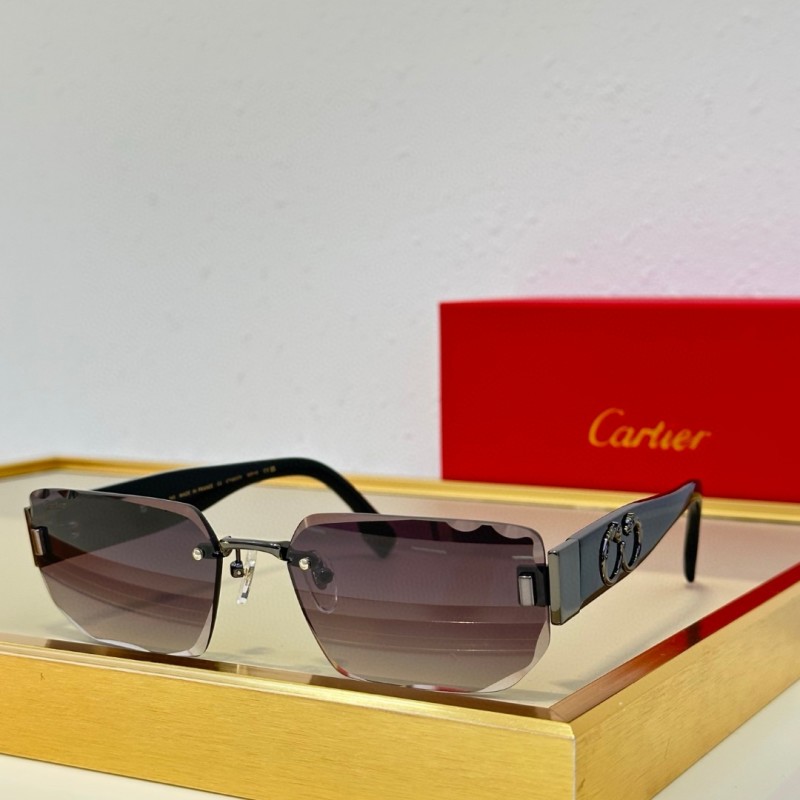 Cartier Glasses 08smh93 (6)
