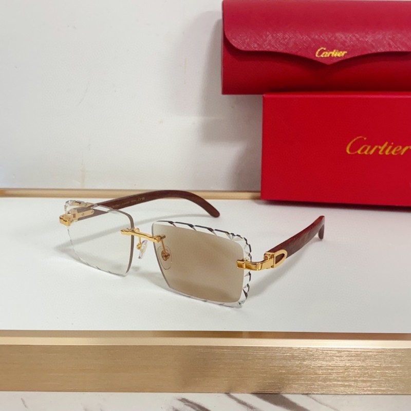 Cartier Glasses 08smh94 (1)