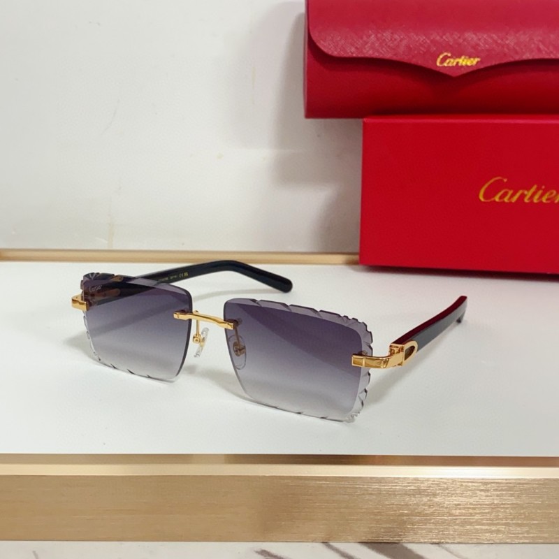 Cartier Glasses 08smh94 (10)