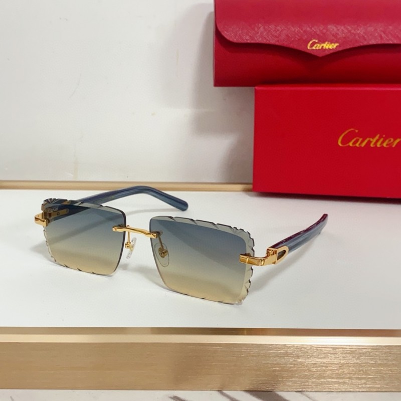 Cartier Glasses 08smh94 (11)
