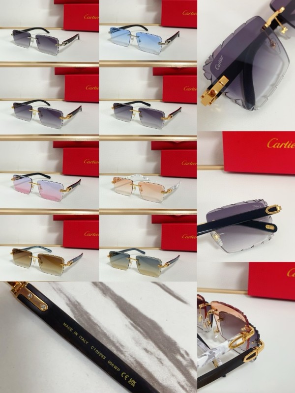 Cartier Glasses 08smh94 (13)