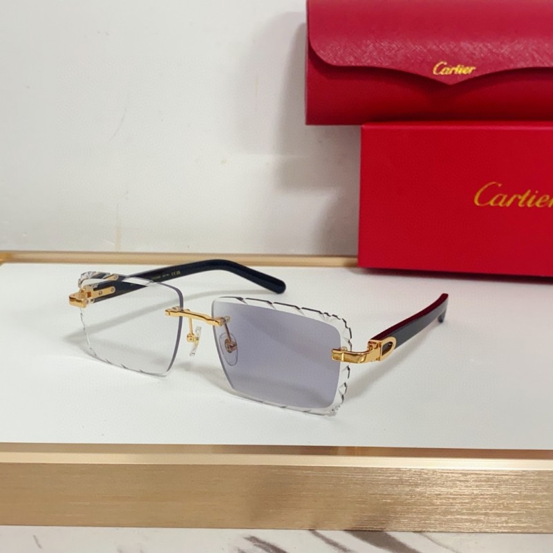 Cartier Glasses 08smh94 (2)