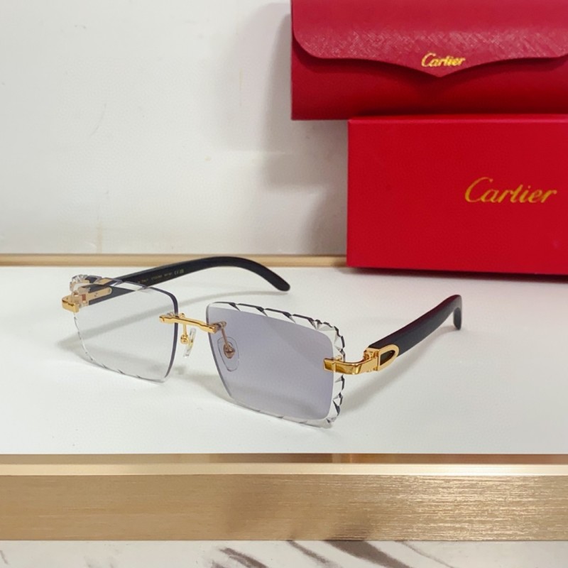 Cartier Glasses 08smh94 (3)