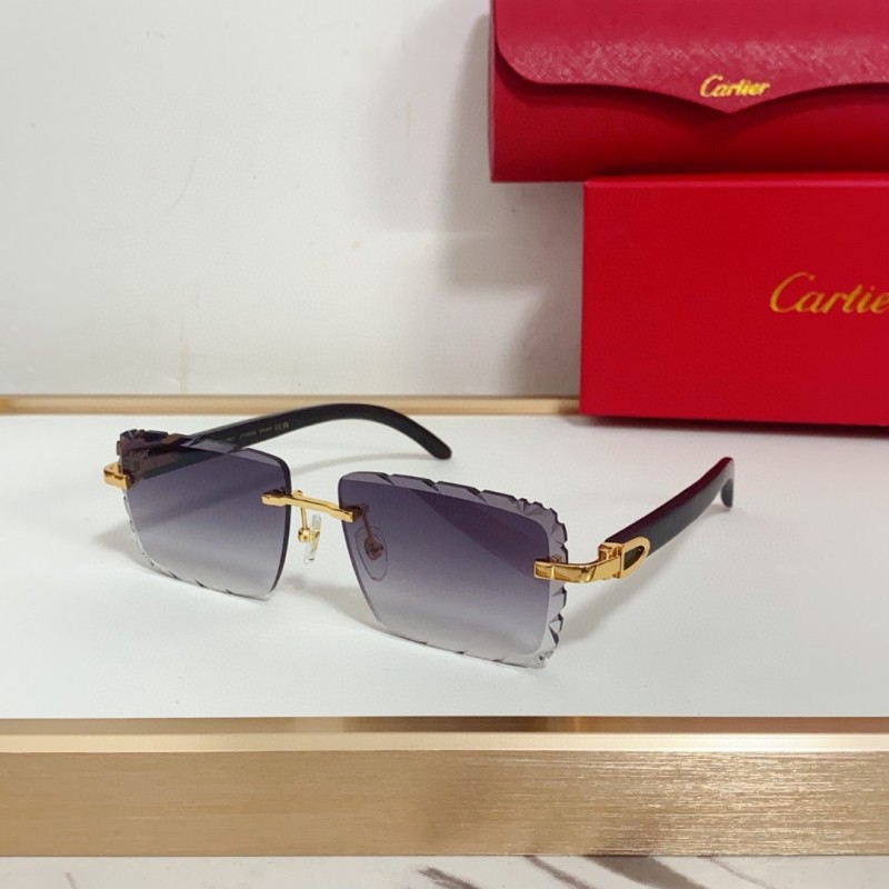 Cartier Glasses 08smh94 (5)