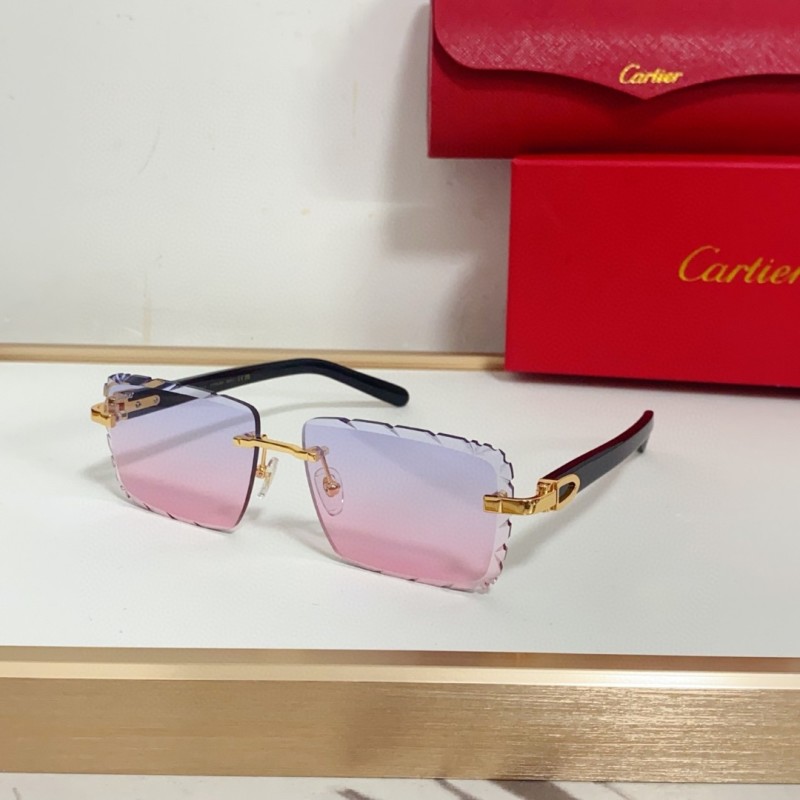 Cartier Glasses 08smh94 (6)