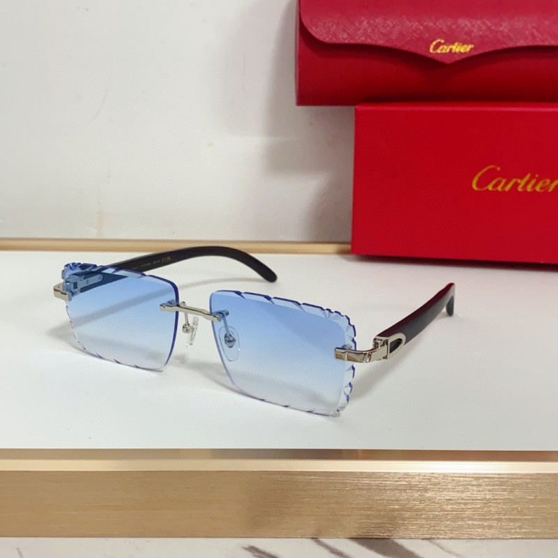 Cartier Glasses 08smh94 (8)