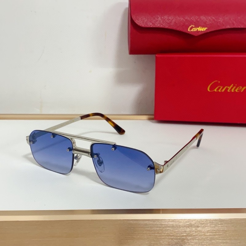 Cartier Glasses 08smh95 (1)