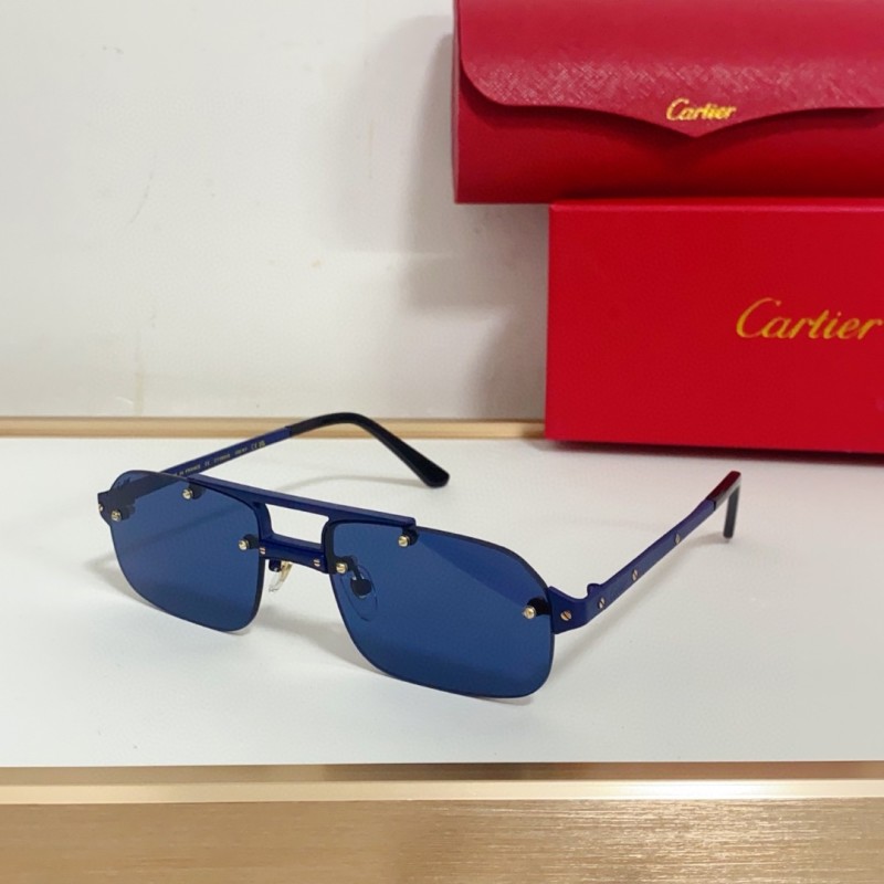 Cartier Glasses 08smh95 (4)