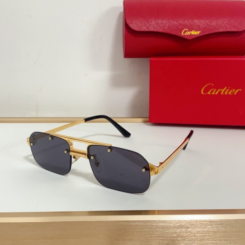Cartier Glasses 08smh95 (5)