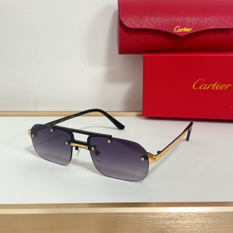 Cartier Glasses 08smh95 (6)