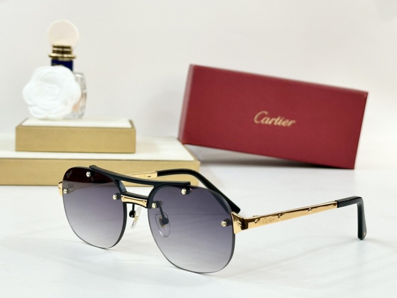 Cartier Glasses 08smh96 (1)