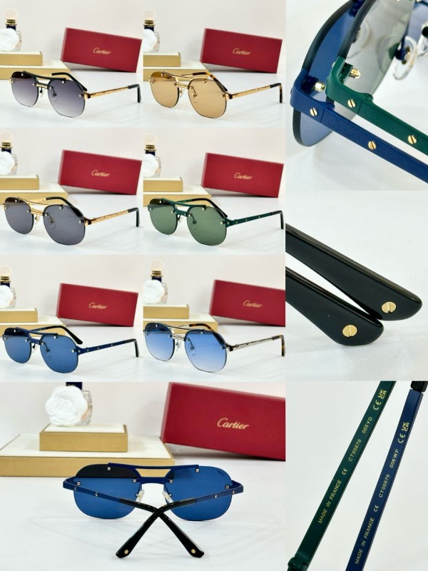 Cartier Glasses 08smh96 (10)