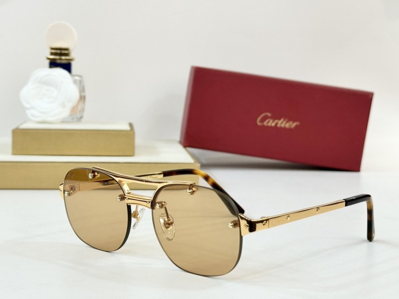 Cartier Glasses 08smh96 (2)