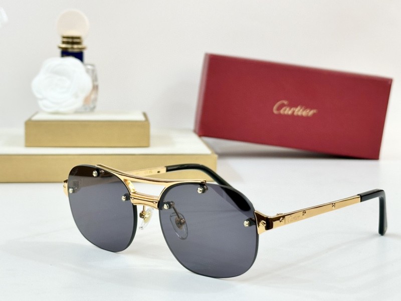Cartier Glasses 08smh96 (3)