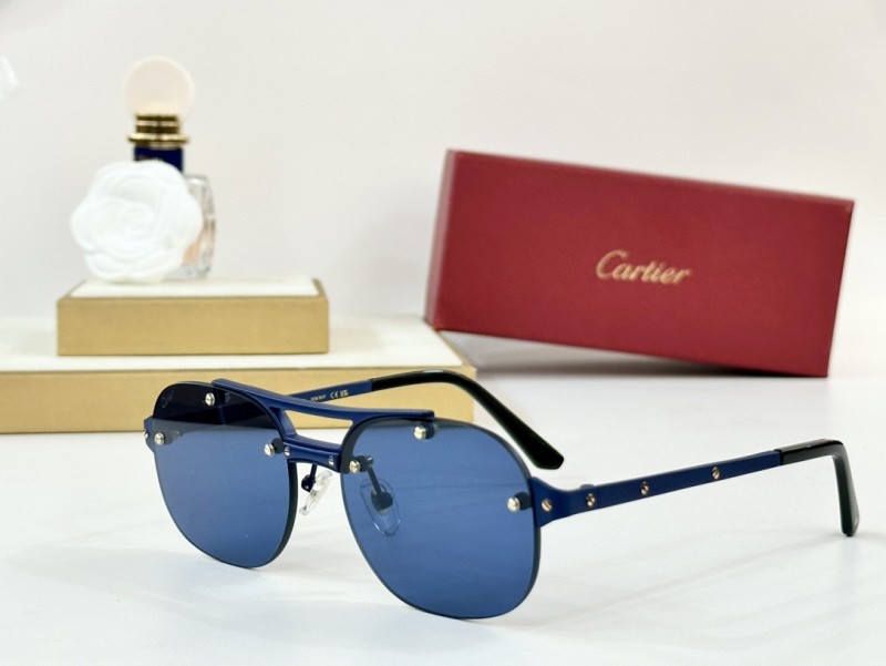 Cartier Glasses 08smh96 (5)