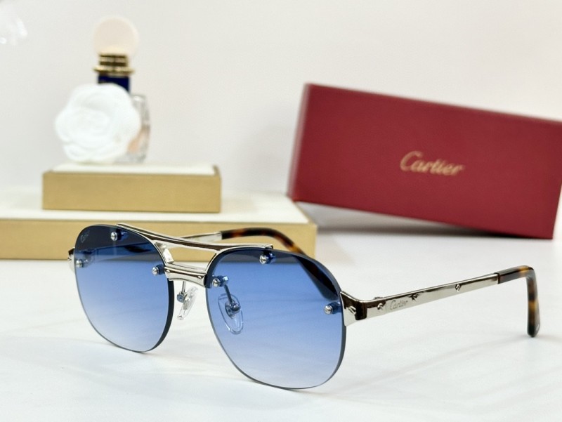 Cartier Glasses 08smh96 (6)