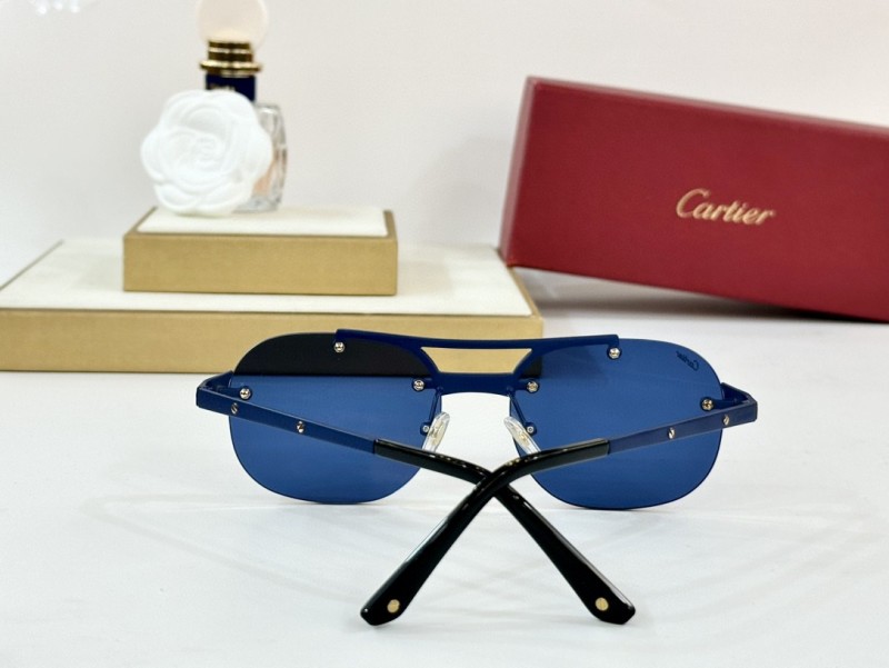 Cartier Glasses 08smh96 (7)