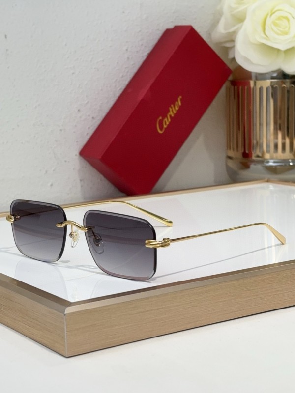 Cartier Glasses 08smh97 (1)