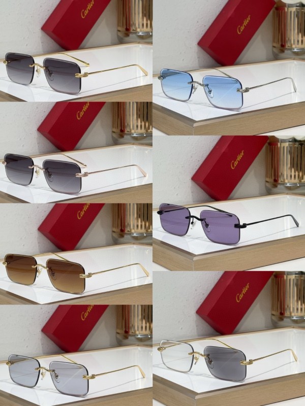 Cartier Glasses 08smh97 (10)