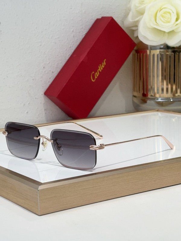 Cartier Glasses 08smh97 (2)